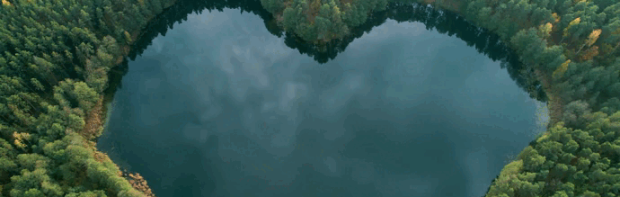 Sustonica wild heart - sustainability