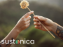 Free sustainability resources for vacation rentals