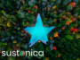 Announcing-the-Sustonica-Star-Awards