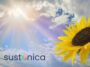 Your Guide to Installing Solar Panels